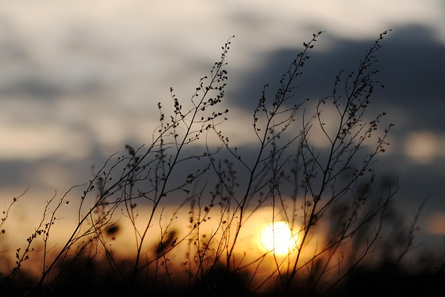 From Restlessness to Peace: Evening Rituals for Emotional and Hormonal Reset
